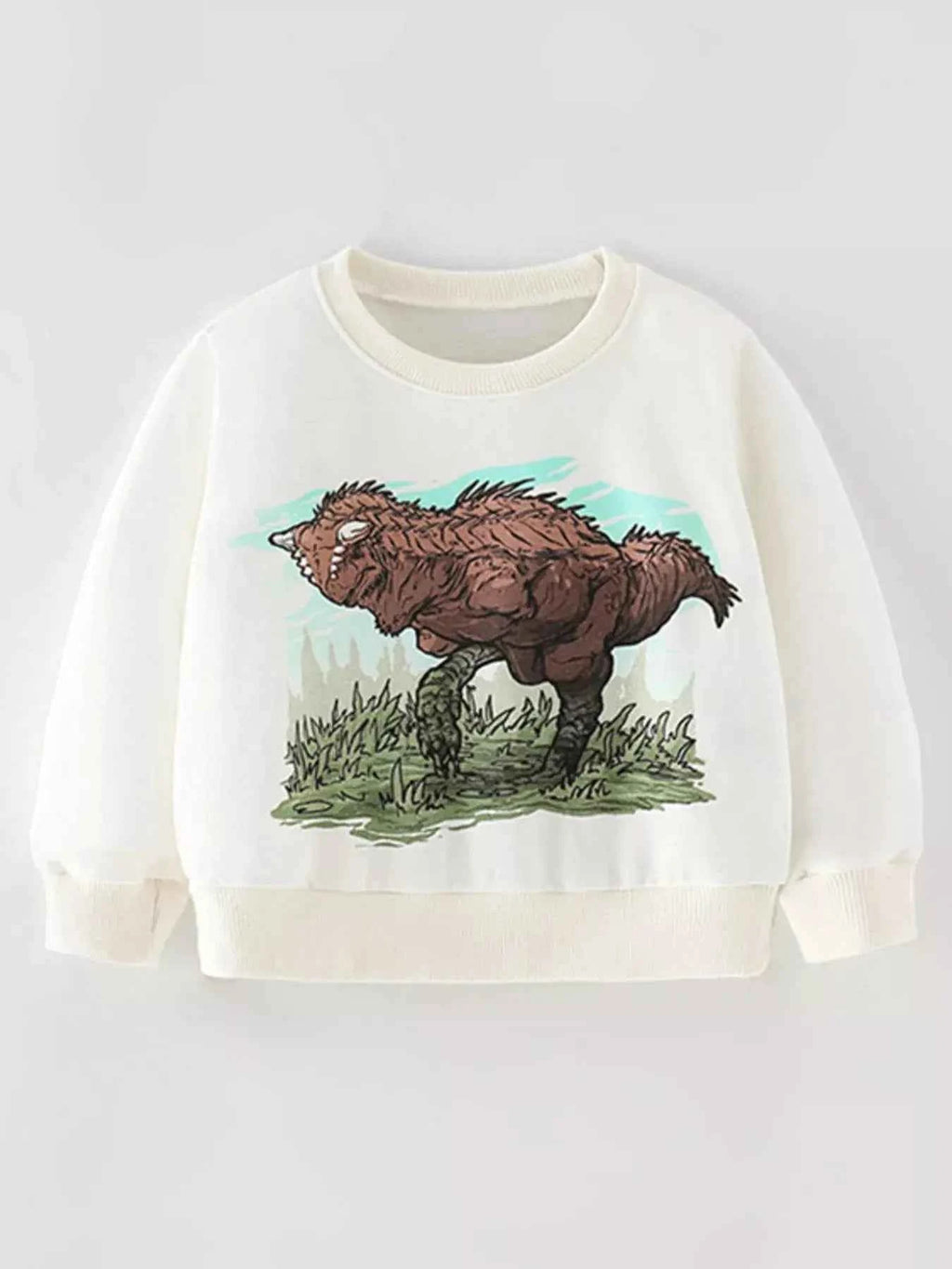 Children's Dinosaur Graphic Crew Neck Sweatshirt