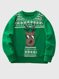 Children's Christmas Reindeer Graphic Crew Neck Sweatshirt